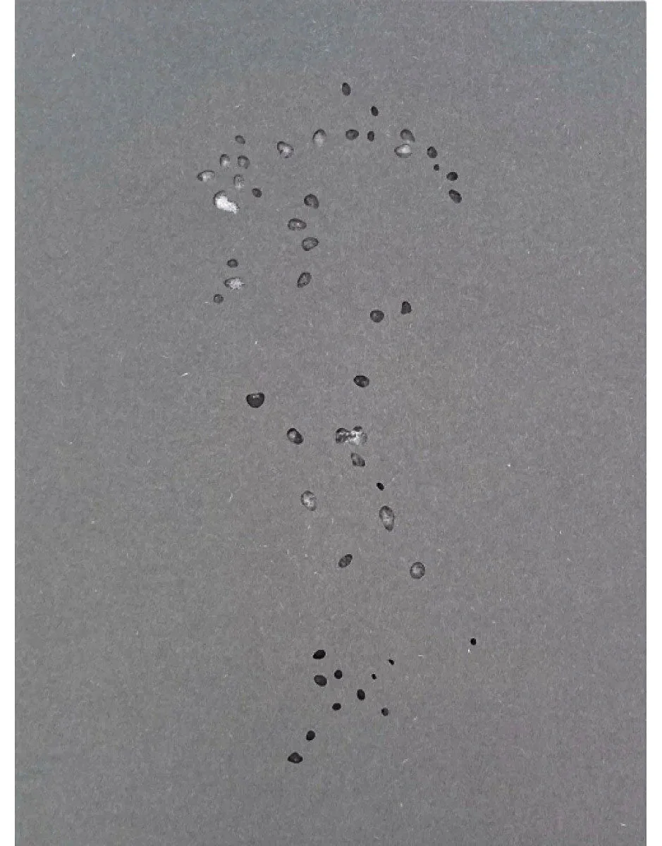 Women in Photography